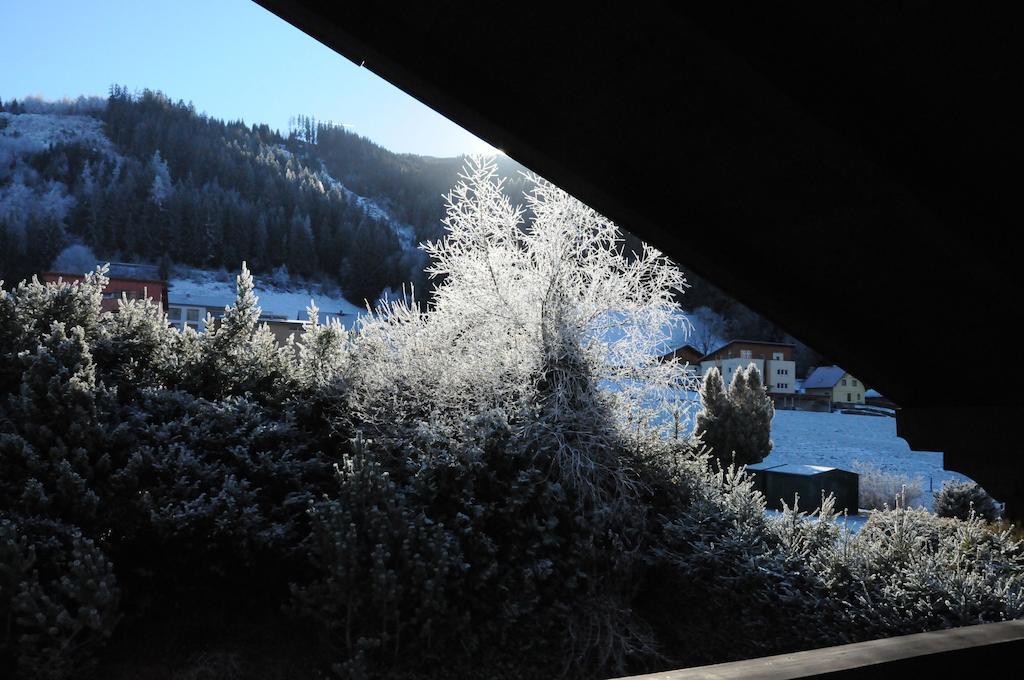 Haus Herz Oda fotoğraf