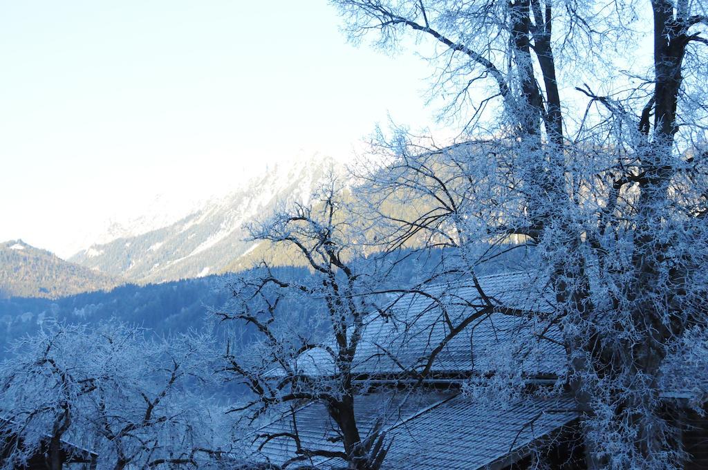 Haus Herz Oda fotoğraf